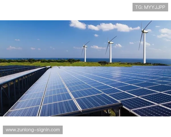 开云体育集团网址全面解析，涵盖平台背景、信誉评级及未来发展战略的深度分析