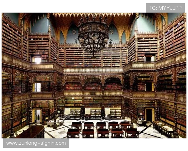 尊龙d88国际厅安全措施提升玩家体验的关键因素分析