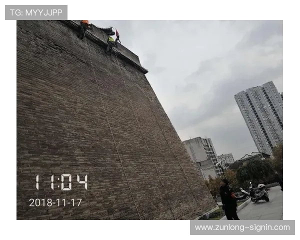 尊龙平台入口常见问题解答与安全保障措施全面解析