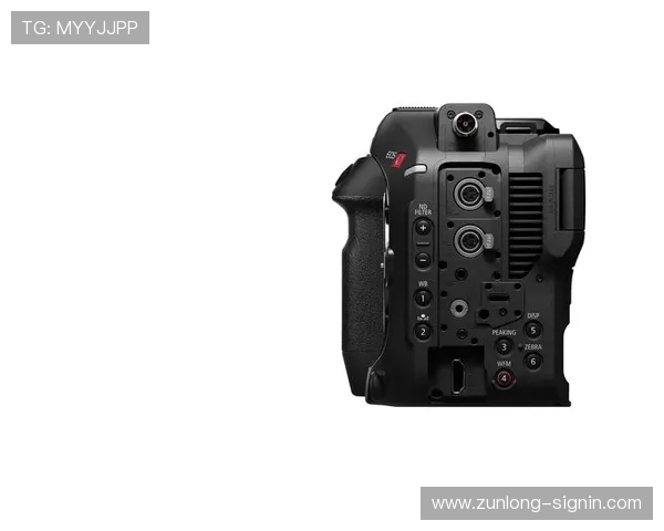 尊龙z6.com电游官网强调用户隐私保护与信息安全保障措施